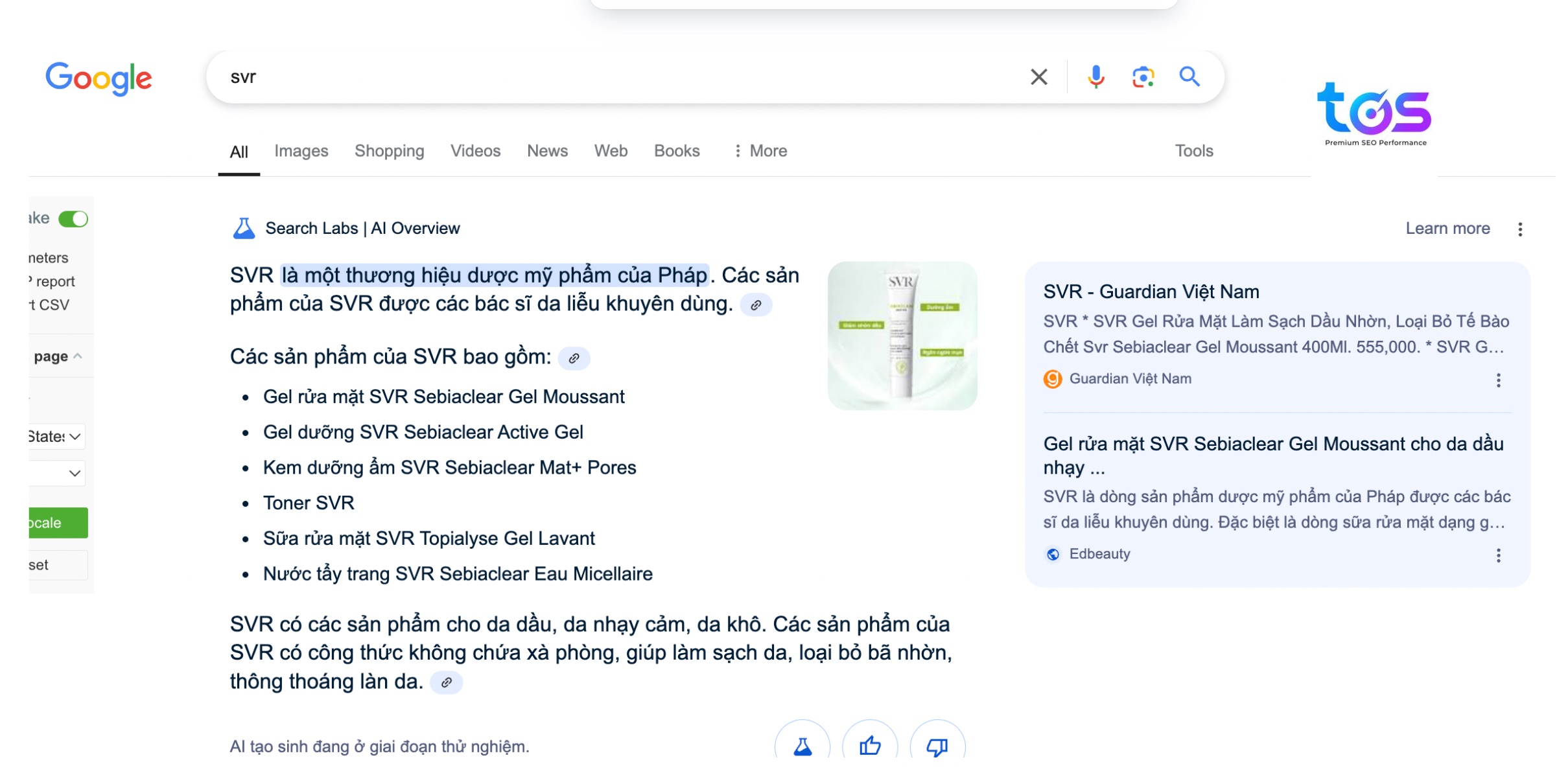 Google AI Overview  là gì?