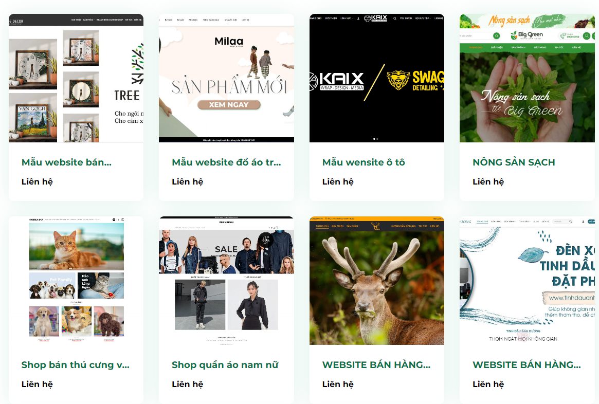 thiet-ke-web