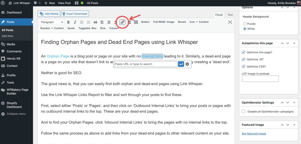 internal link hỗ trợ đưa website lên top google