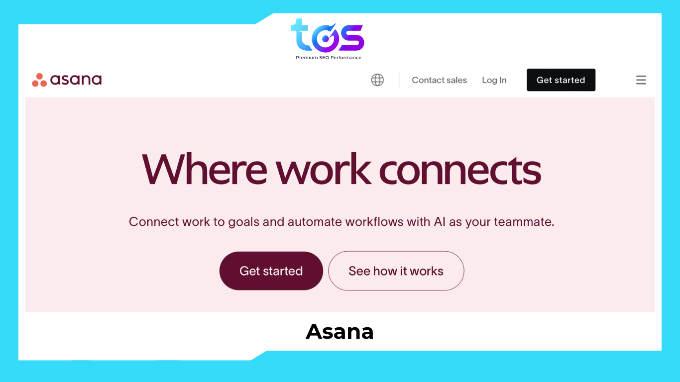 Công cụ SEO Task Manager - Asana