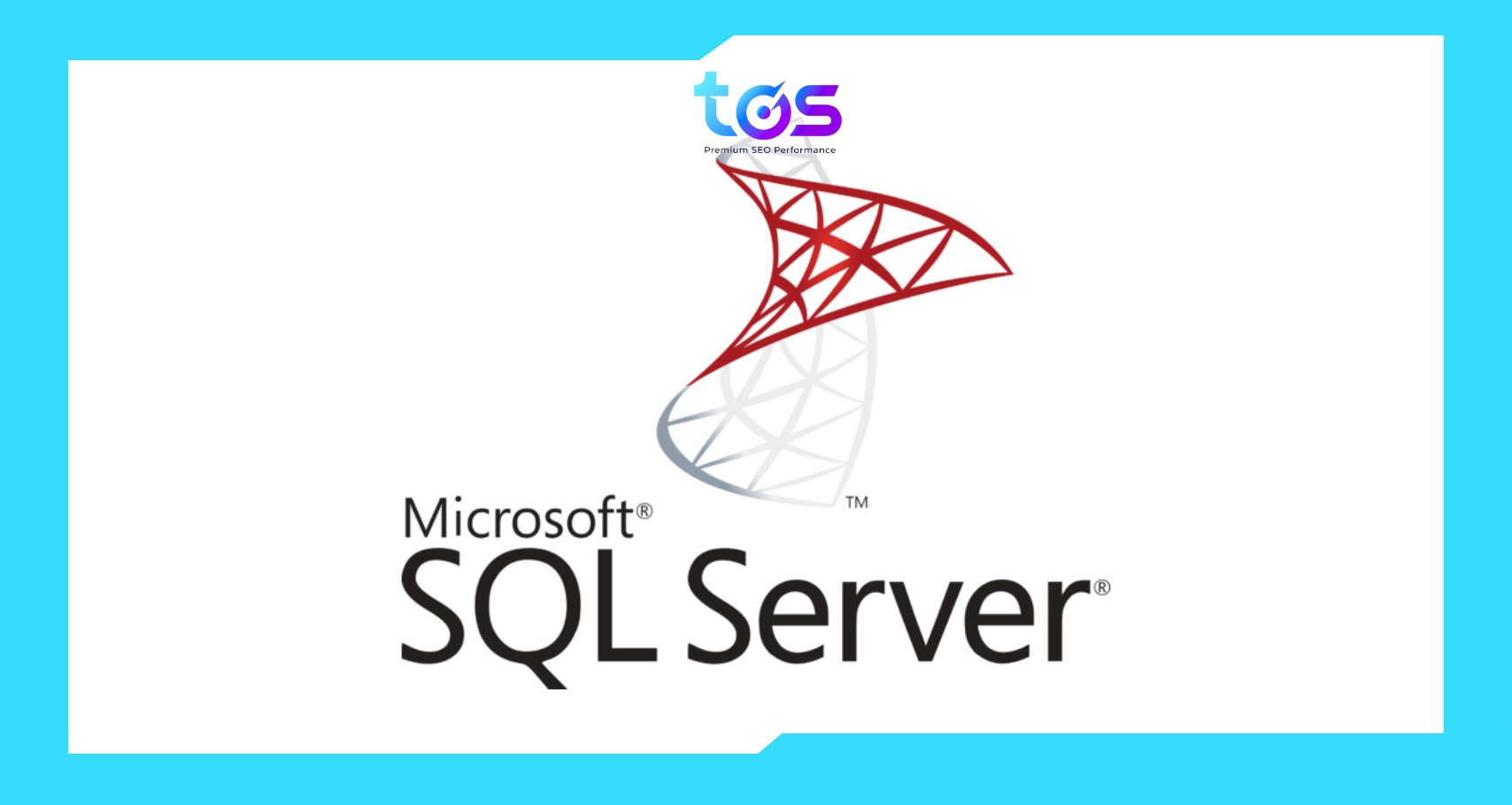 Microsoft SQL Server phù hợp cho các ứng dụng phân tích và giao dịch dữ liệu lớn