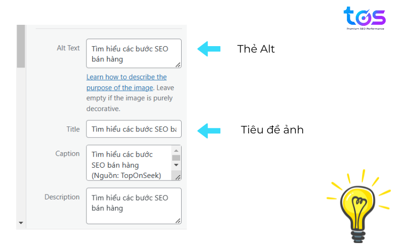 Title và Meta Description trong SEO bán hàng online