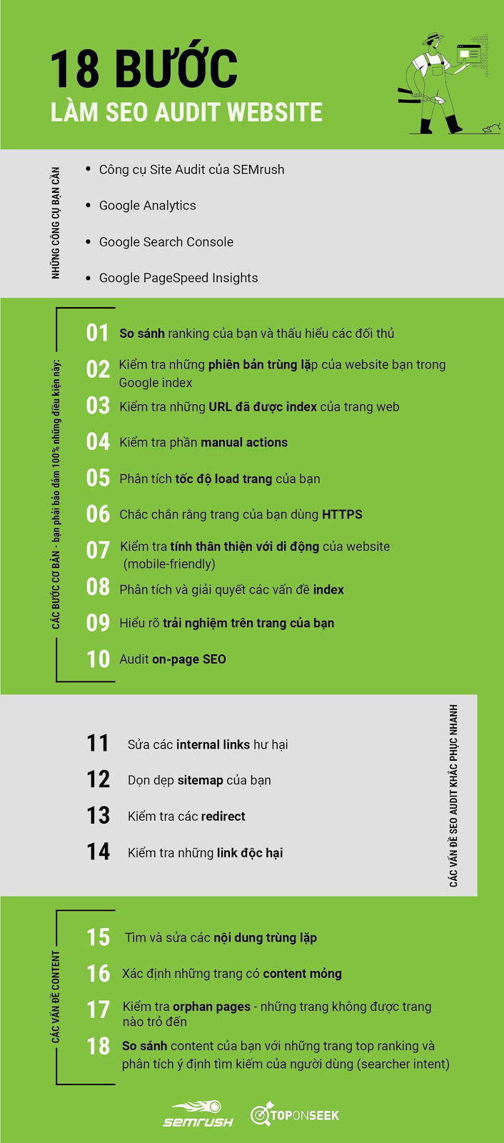 Ví dụ sử dụng infographics Audit website của Toponseek 