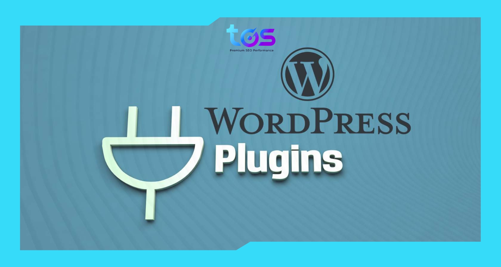 Plugin WordPress là gì?
