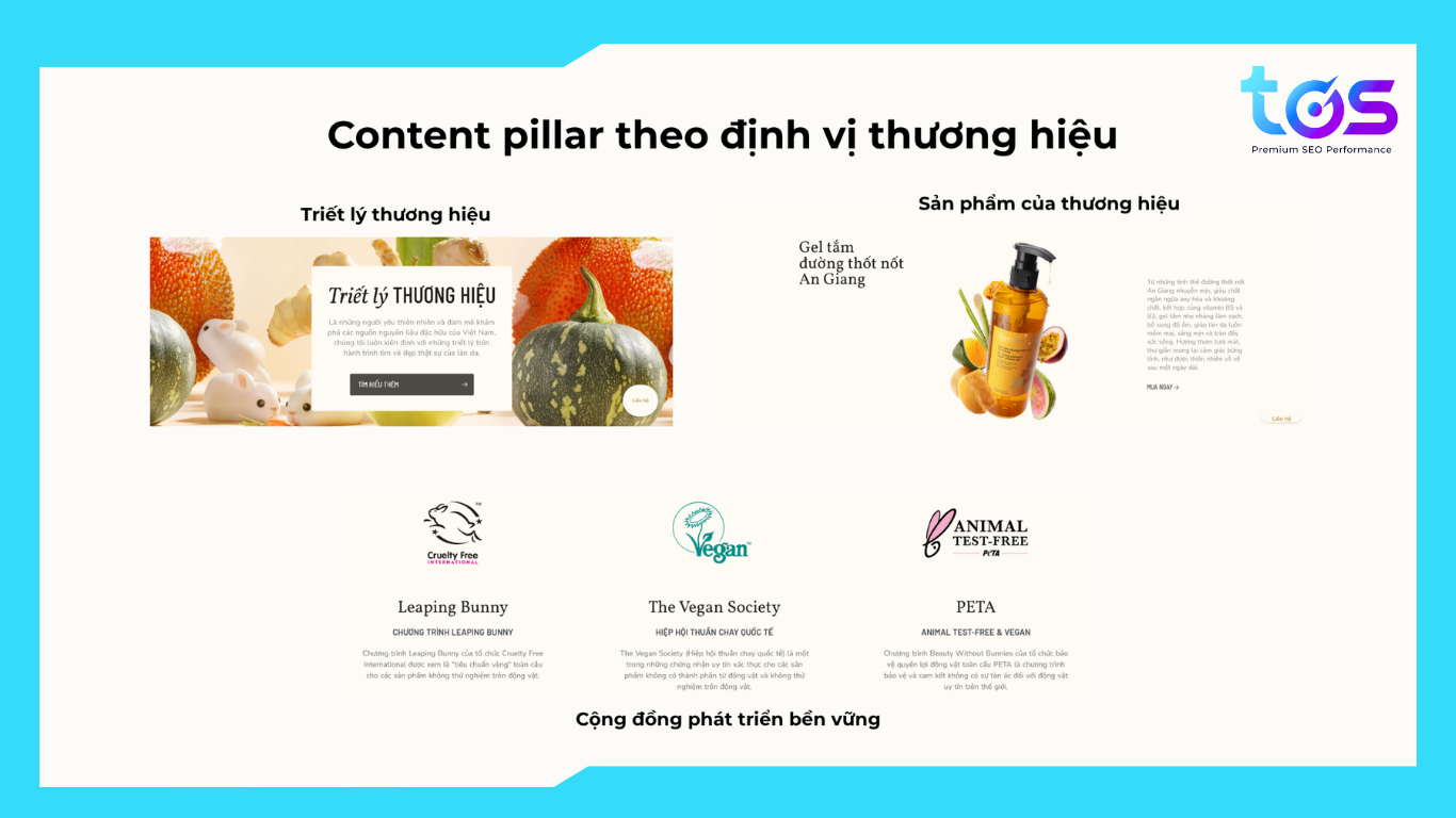 Tạo pillar content theo định vị thương hiệu