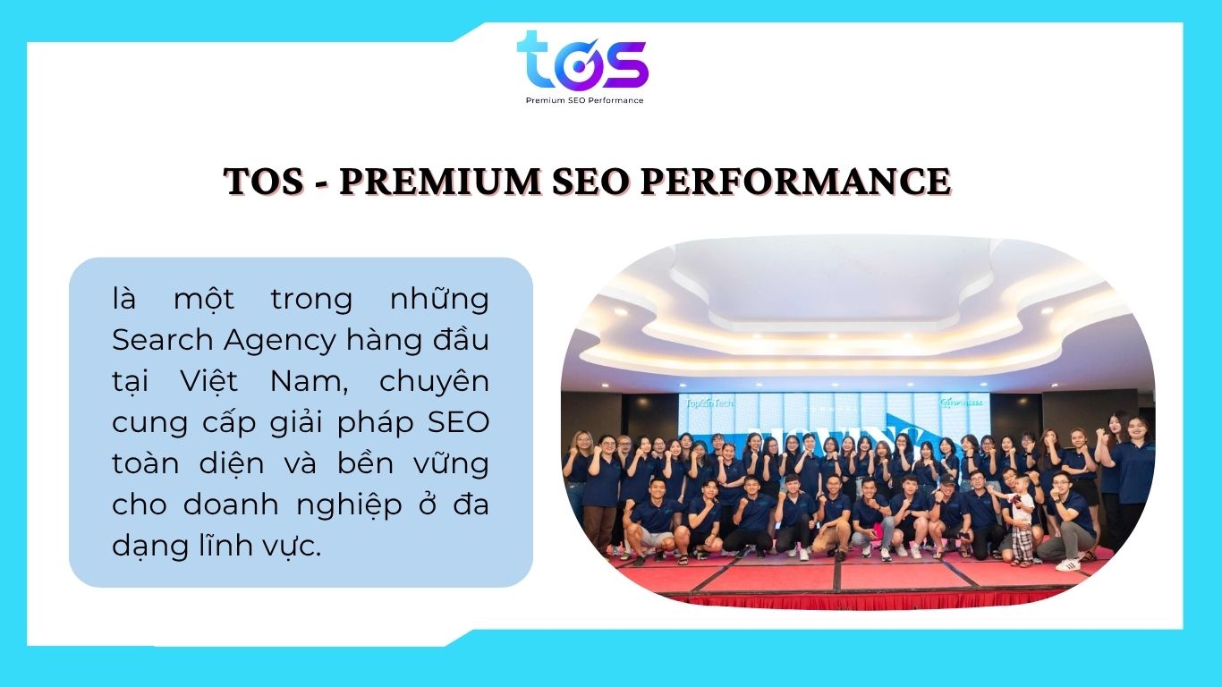 TOS - Premium SEO Performance