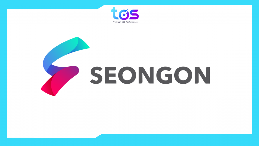 logo seo agency việt nam seongon
