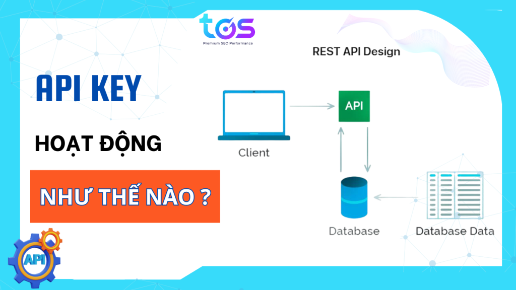 API Key hoạt động như thế nào? 