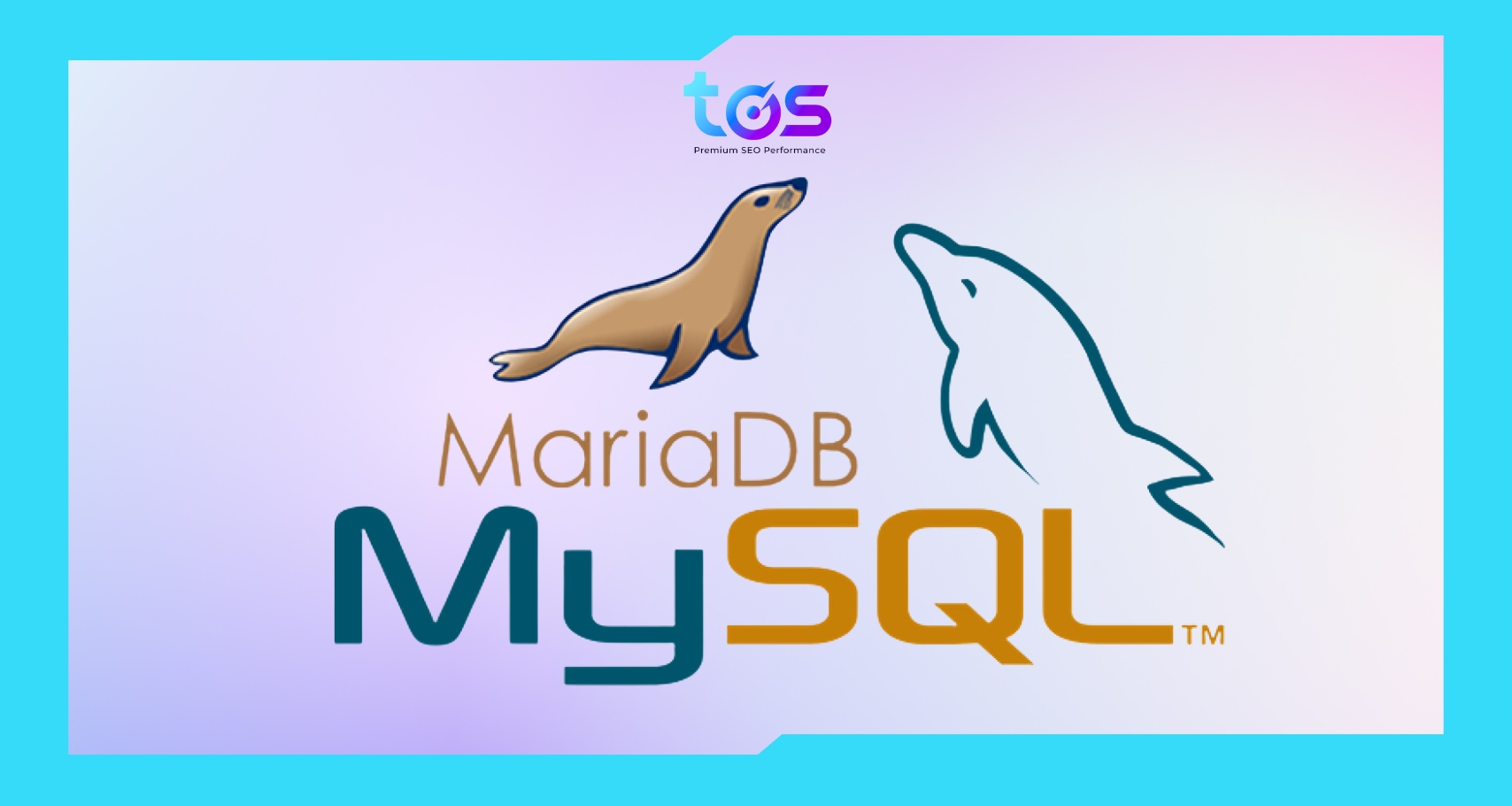 MariaDB là cơ sở dữ liệu thay thế MySQL, tối ưu cho dữ liệu lớn
