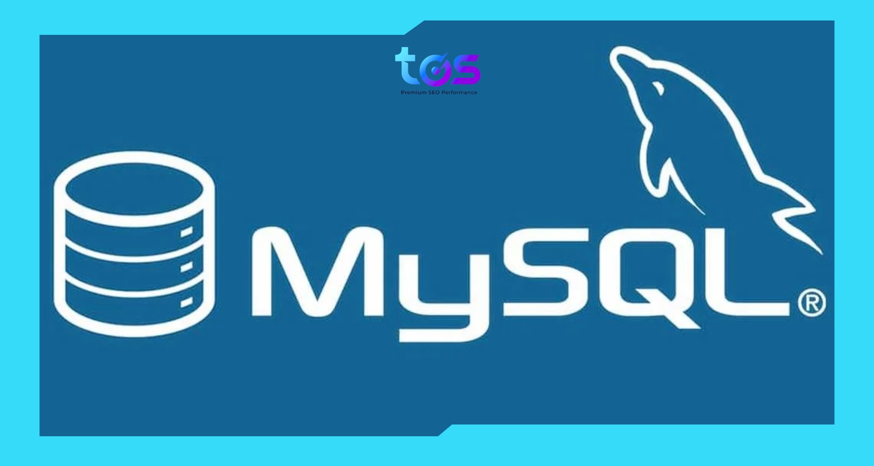 MySQL là hệ quản trị cơ sở dữ liệu phổ biến nhất cho các ứng dụng web