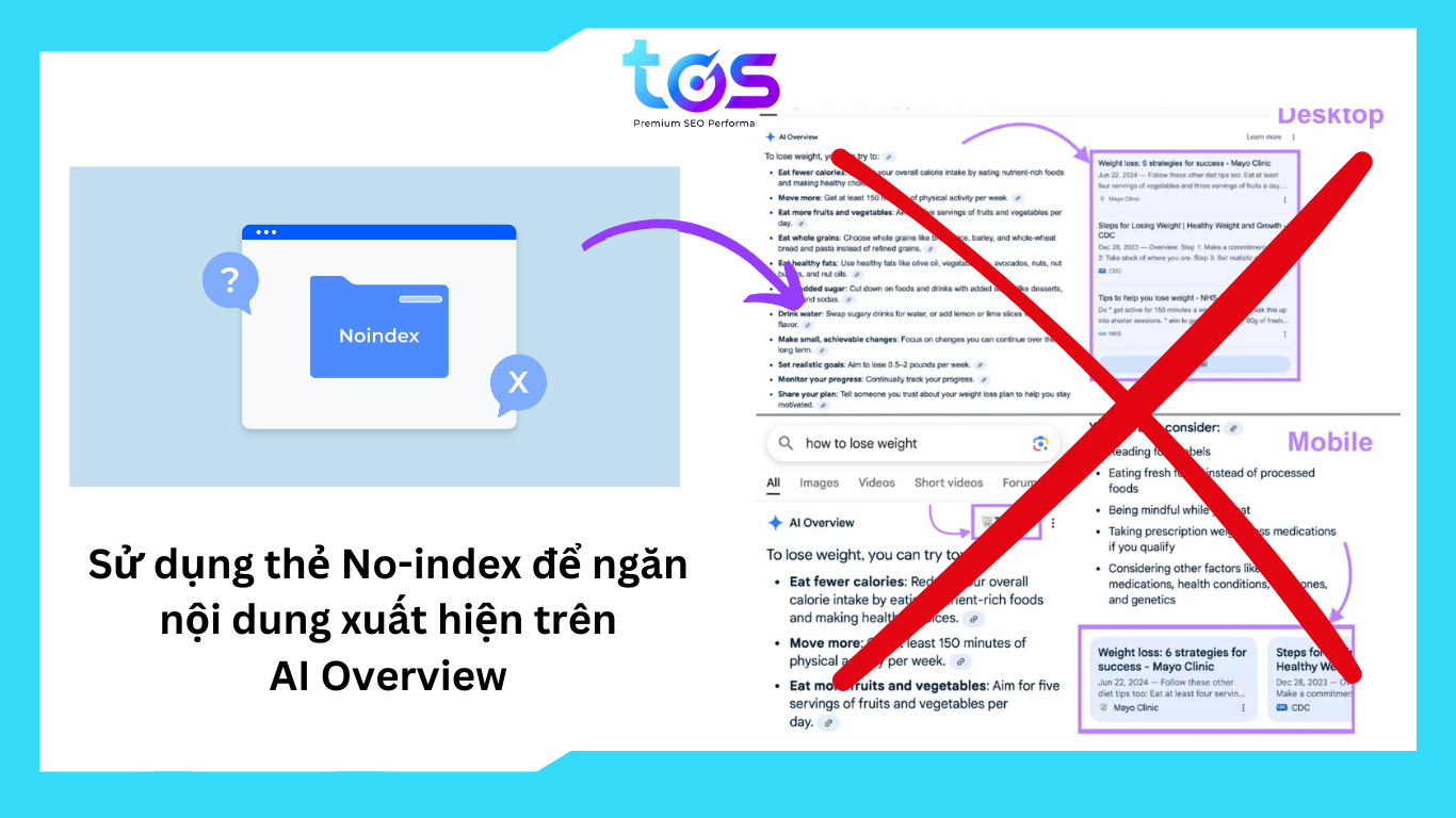 Cách ngăn nội dung xuất hiện trên AI Overview với thẻ no-index